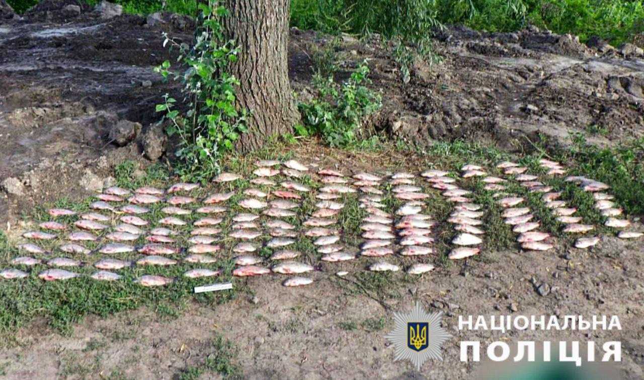 Двоє браконьєрів наловили риби на понад 2,5 мільйона гривень - 1 - зображення