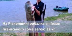 4a1bed9e7c314d5670c9c338dfada8ff