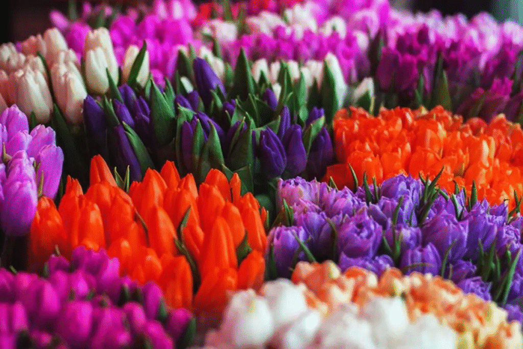 flower-mandi-img-1-1200x800