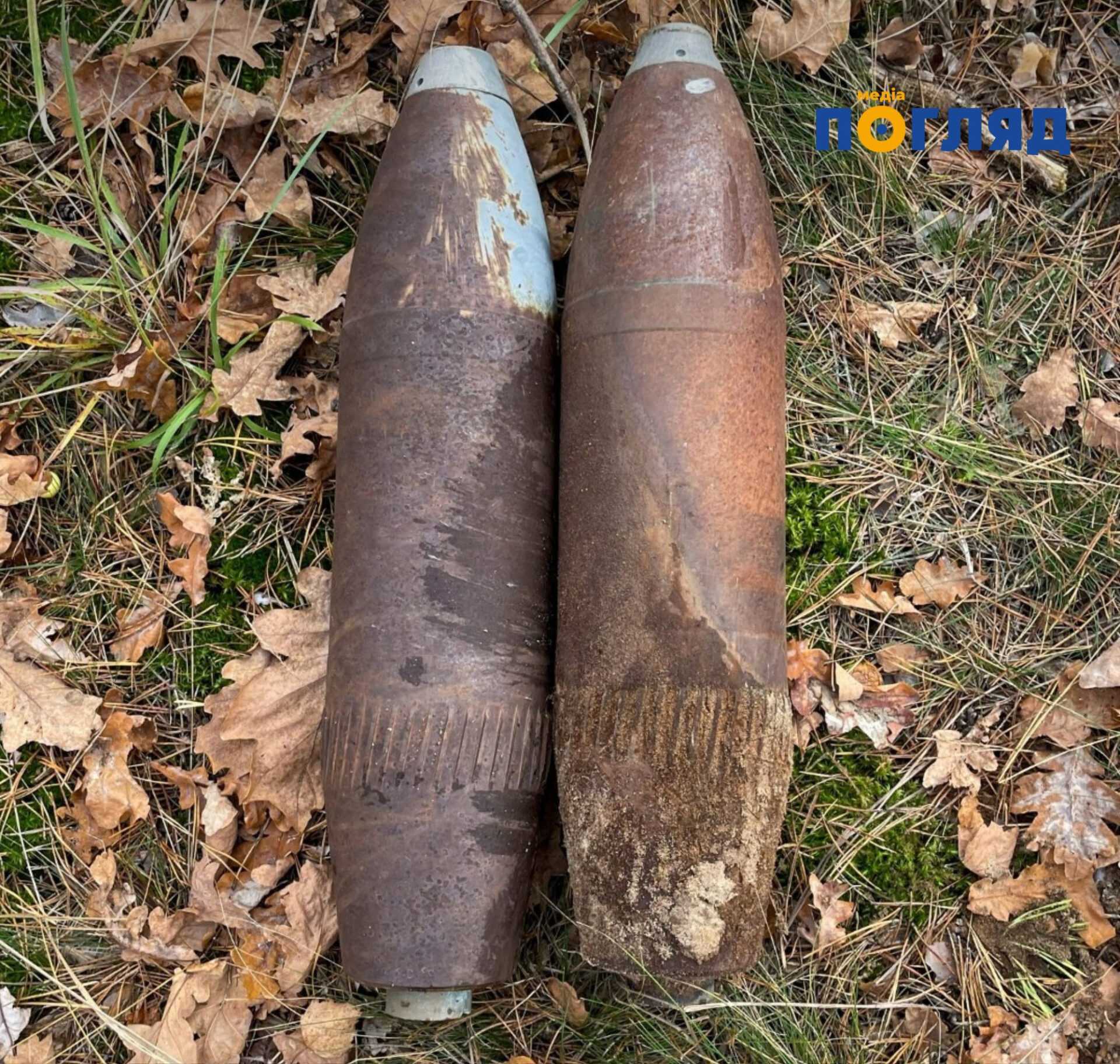 У Бучанському районі під час збирання грибів місцевий мешканець натрапив на протипіхотну осколкову міну (ФОТО) У Бучанському районі під час збирання грибів місцевий мешканець натрапив на протипіхотну осколкову міну (ФОТО) - зображення