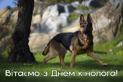 листівка вітаємо з днем кінолога 2026
