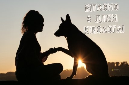 листівка вітаємо з днем кінолога