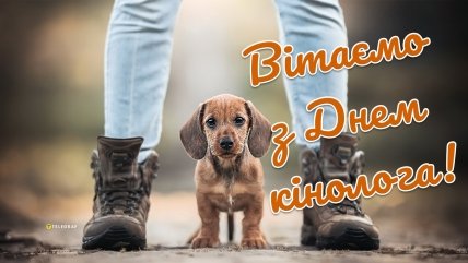 картинка вітаємо з днем кінолога