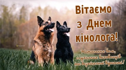 листівка вітаємо з днем кінолога 2 квітня