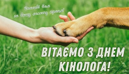 картинка вітаємо з днем кінолога спасибі вам