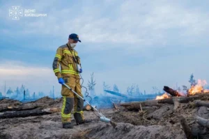 Чорнобильська зона: ДСНС розкрила головну причину займань.
