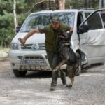 Київщина: силовики відточують майстерність на масштабних спільних тренуваннях