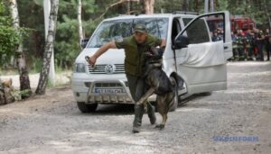 Київщина: силовики відточують майстерність на масштабних спільних тренуваннях