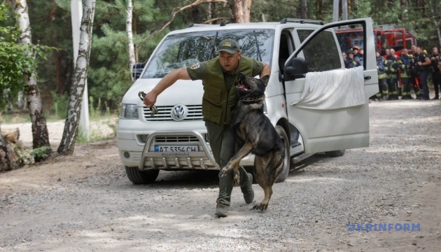 Київщина: силовики відточують майстерність на масштабних спільних тренуваннях