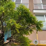 Обухівщина: кривавий дощ з вікна, або хто заграється з долею маленьких.