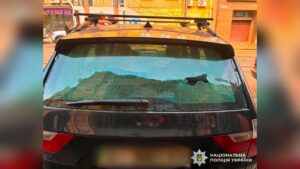 Дмитрівський стрілець:BMW під кулями, суд чекає