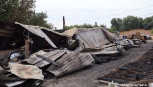 Київщина в жалобі: Вогонь знищив притулок для тварин.