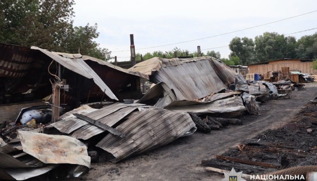 Київщина в жалобі: Вогонь знищив притулок для тварин.