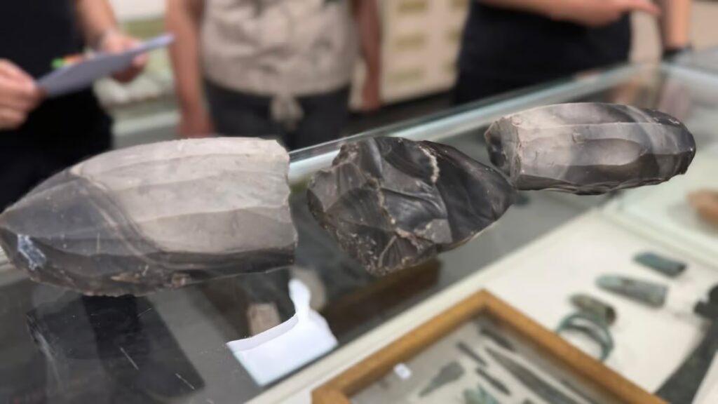 Київська митниця: 8 тисяч років історії затримано на шляху до США