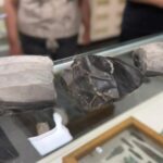 Київська митниця: 8 тисяч років історії затримано на шляху до США
