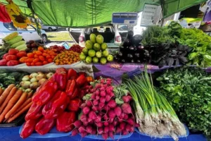 Продовольчі ярмарки у Києві 15-16 серпня: де смакуватимеш.