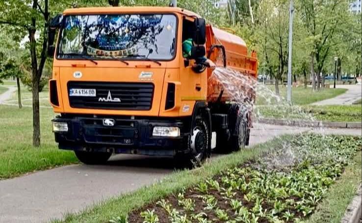 Деснянщина барвами квітів та злаків ожила.