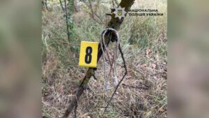 Київ: Три фігуранти справи про напад на ді-джея біля Дніпра.