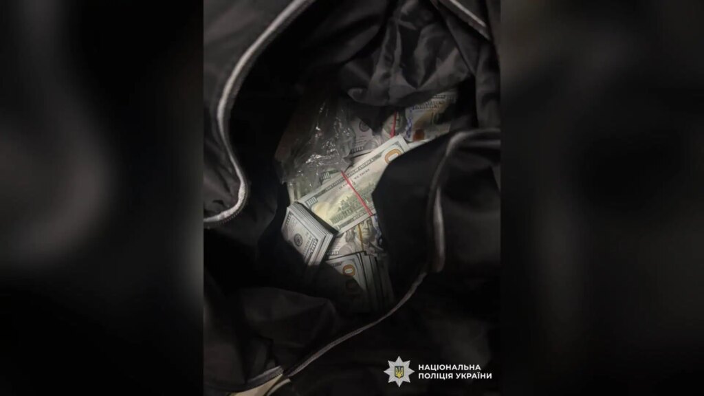 13 мільйонів гривень зникли: на Київщині затримали підозрюваного у шахрайстві проти пенсіонерки