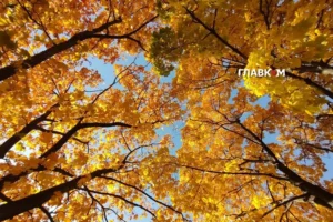 Київ, 24 жовтня 2026: стан повітря в столиці. Якість повітря та показники забруднення за районами.