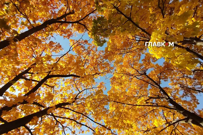 Київ, 24 жовтня 2026: стан повітря в столиці. Якість повітря та показники забруднення за районами.