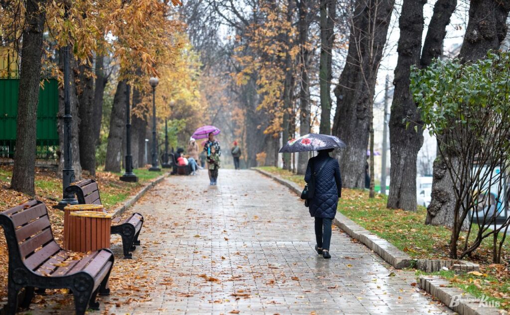 Погода 26 жовтня: дощ у Києві та області, температура до +16°C
